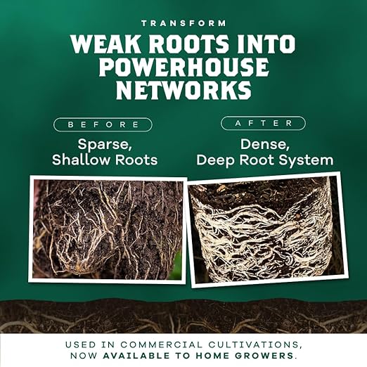 DYNOMYCO Granular Mycorrhizal Fungi Inoculant, 200g / 7oz – Boosts Root Growth, Yields & Nutrient Uptake – 900 Propagules/g, Concentrated Granules, & OMRI Listed – Biofertilizer for Plant Growth