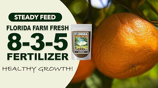 Fertilizer Commercial Grade | Florida Farm Fresh Organic 8-3-5 | 3 Pounds | Granular Slow Release Feed | Nitrogen Source | Lawns Vegetables Fruits Beds Borders Shrubs Ornamentals | 7–8 Month Coverage