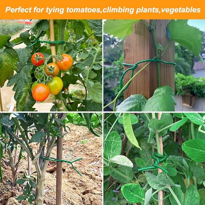 Tenn Well Plant Ties for Climbing Plants, 66 Feet 2.8mm Green Garden Wire Ties for Tomato Plants, Climbing Roses, Trellises, Gardening Supplies (2PCS x 33 Feet)