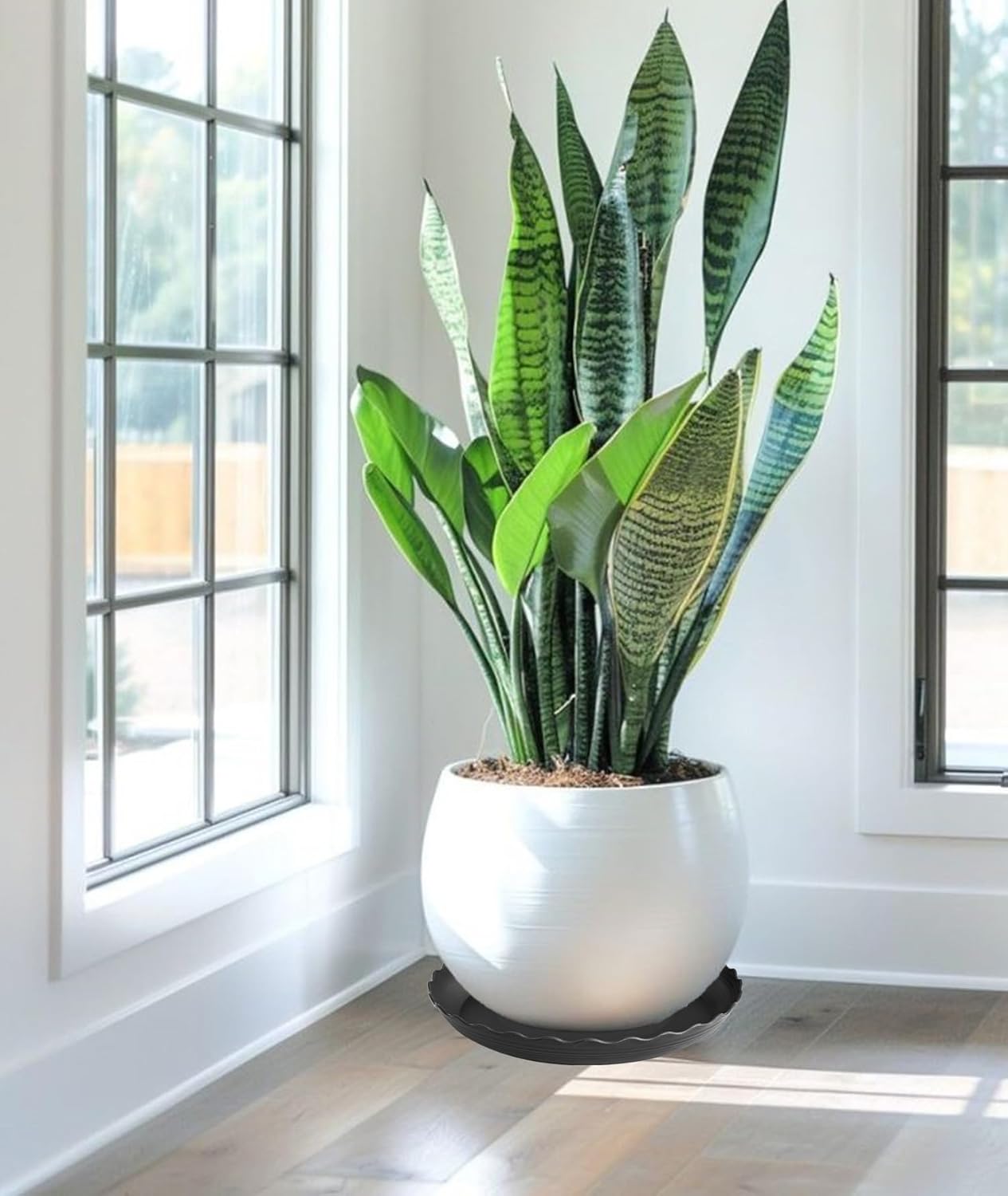 6 Pack Plant Saucer 10 inch, Heavy Duty Plastic Plant Saucers, Durable Plant Tray for Pots, Flower Saucers for Indoors, Plant Pot Saucers, Trays for Planter (Black)