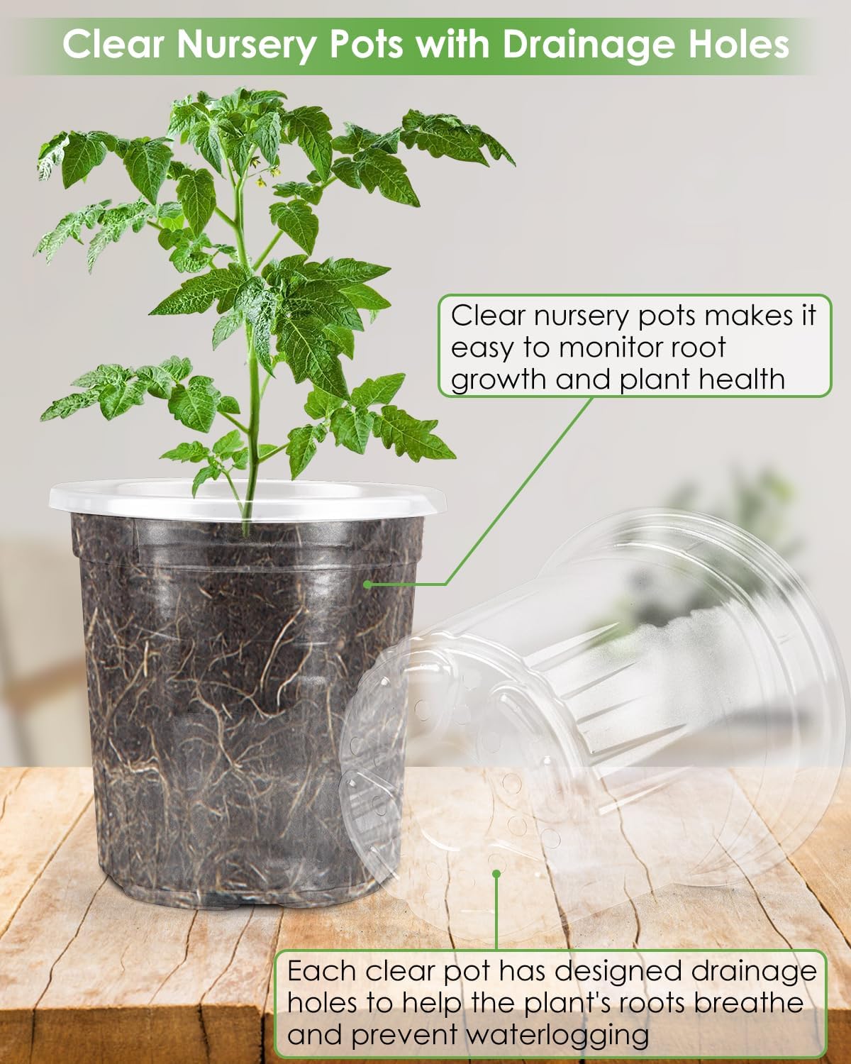 PACETAP 50Pack 4 Inch Reinforced Clear Nursery Pots with Drainage Holes, Variety Pack Plastic Plant Pots with 20 Plant Labels for Indoor Outdoor Flower Seed Starter