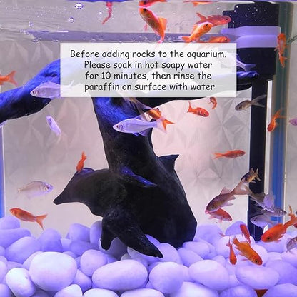 10 lbs Large River Rocks for Landscaping, 2-3 inch Polished White Pebbles for Plants, Decorative White Stones for Planters Vase Aquarium and Outdoor Garden Rocks