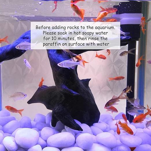 2 lbs Polished White Pebbles for Pebbles, 1-2 Inch Smooth White River Rocks for Plants Potted Vases Fillers Fish Tank Landscaping and Outdoor Garden Decorative Rocks