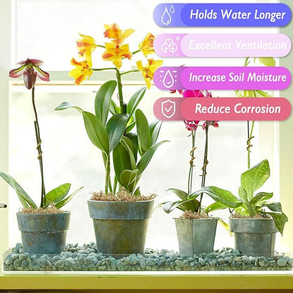 Halatool 4QT Premium Sphagnum Moss for Indoor Plants, Orchid Moss Potting Mix - Natural Sphagnum Moss for Succulents, Carnivorous(Sarracenia), Monstera, Terrarium Substrate & Reptile Habitats