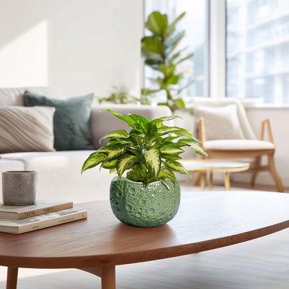 6 Inch Plant Pot - Orchid Pot with Drainage Hole, Ceramic Planter for Indoor Outdoor, Decorative Plant Pots, Modern Round Unique Flower Pots, Living Room Decor, Gifts for Women Men, Green