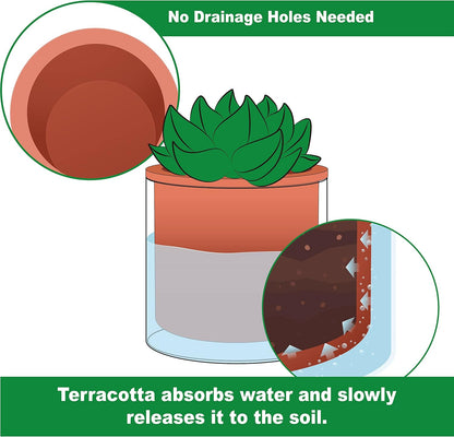 Phoenix Vine 6 Inch Self Watering Plants Pot, Design Terracotta Pot for Plants, Indoor Cylinder Terra Cotta Planter with Glass Vase, Set of 1, 51-A-F-1