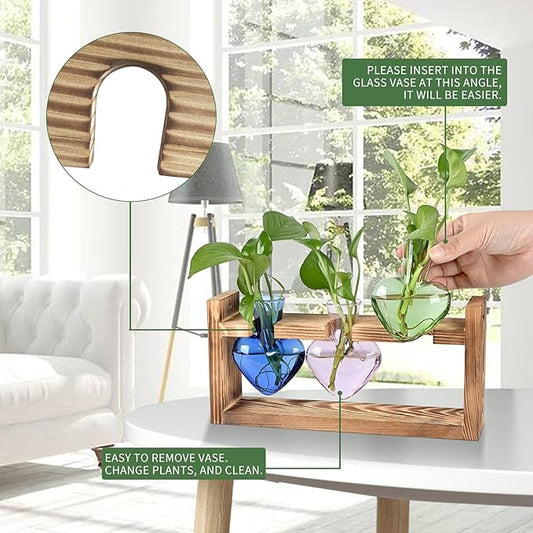 Plant Terrarium Propagation Stations Hydroponics Home Garden Decoration Gift for Women with Wooden Stand Heart Shaped Colored Glass Vase