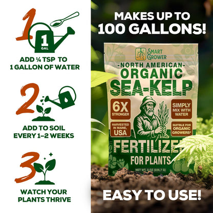 Organic Sea Kelp Fertilizer for Plants – Water-Soluble – Makes 200 Gallons – Kelp Meal Concentrate Plant Food – for Indoor Gardens, Hydroponics, Vegetables, Houseplants - Smart Grower - 8oz Bag