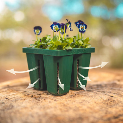 Vego garden Seedling Suite Products, 4 Pack Jumbo Seedling Trays with 10" x 10" Bottom Watering Trays