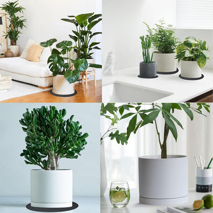 2 Pack Ceramic Plant Saucer Pot Tray 8 Inch, Planter Saucers 4 5 6 7 8 9 10 11 12 Inch for Indoors Outdoor, Durable Sturdy Flower Drainage Tray for Glazed Pots Base (8.5 Inch White)