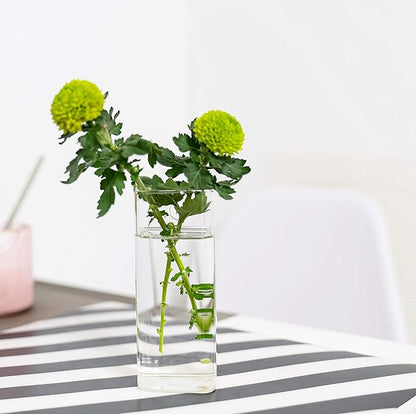 Kingbuy Plant Terrarium Container Propagation Station Square Tube Vase Wall Hanging Glass Planter Indoor Hydroponic Plants Home Office Garden Decor, 4 Pack