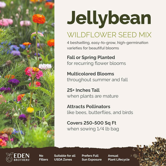 Eden Brothers Jellybean Flower Mixed Seeds for Planting, 1/4 lb, 120,000+ Seeds with Zinnia, Cornflower, Cosmos, Calendula, Attracts Pollinators, Plant in Spring or Fall, Zones 3, 4, 5, 6, 7, 8, 9, 10