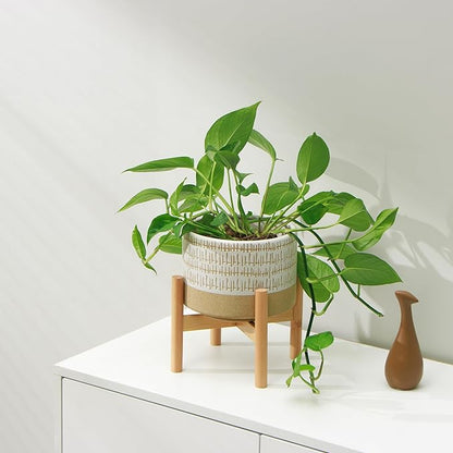 Kurrajong Farmhouse 7.25in Ceramic Planter with Bamboo Stand, Indoor Use, Caramel and White