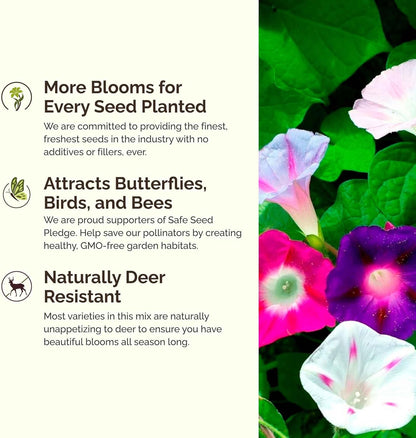 Eden Brothers Top O The Morning Flower Mixed Seeds for Planting, 1/4 lb, 120,000+ Seeds with Morning Glory, Moonflower | Attracts Pollinators, Plant in Spring or Fall, Zones 3, 4, 5, 6, 7, 8, 9, 10