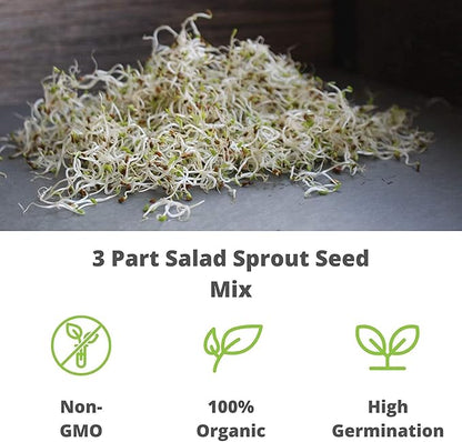 Waltham 29 Broccoli Seeds | Non-GMO Bulk Heirloom Broccoli Seeds for Sprouting, Microgreens, Vegetable Gardening, Garden Salad Garnishes, & More (1 Lb)