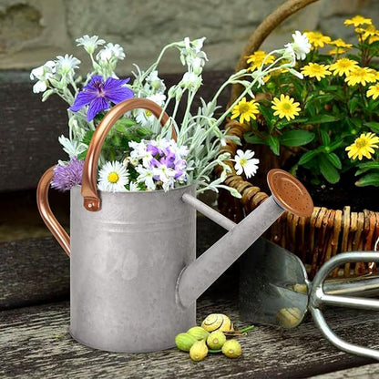 Metal Watering Can with Removable Spout, Galvanized Watering Can, Perfect for Indoor Use and for Outdoor Use (1 Gallaon, Metal)