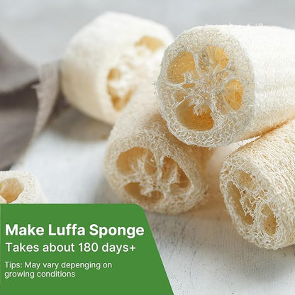 Luffa Gourd Seeds, 40 Non-GMO Heirloom Vegetable Seed, Planting for Outdoor Garden