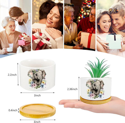 Elephants Succulent Pots 3 Pack, 3 Inch Succulent Planters with Drainage and Bamboo Tray, Elephants Gifts for Women, Ceramic Small Pots for Baby Plants, Cactus, Herbs- Plants Not Included