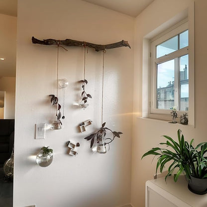 Propagation Station, Plants Terrarium, Plants Lover Gifts for Women,Plant Cutting Holder Home décor,Gifts for Women,House Warming New Home-3 Geometric Shape