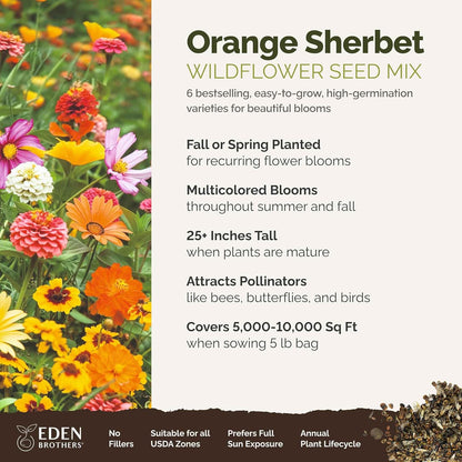 Eden Brothers Orange Sherbet Flower Mixed Seeds for Planting, 5 lb, 2,400,000+ Seeds with Cosmos Picotee, Bright Lights | Attracts Pollinators, Plant in Spring or Fall, Zones 3, 4, 5, 6, 7, 8, 9, 10