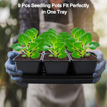 50Pcs 3.5inch Square Nursery Pots with 5Pcs Seed Starting Trays, Seed Starter Tray Kit, Seeds Starting Germination, Seeding Pots with Drain Holes, Small Plant Nursery Propagation