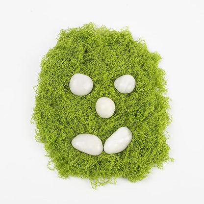 River Rocks - Natural Polished White Pebbles, 0.5-1 inch, 10 Lbs - Ideal for Indoor Planting, Vase Filling, Aquarium Decoration, and Garden Landscaping (White, Weight: 10 LB)