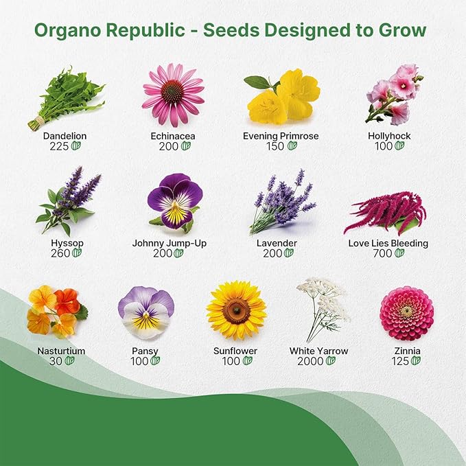 Organo Republic 25 Edible Flower Seeds Variety Pack for Indoor Outdoor Gardening - 8,000+ Non-GMO Heirloom Flower Seeds: Anise, Hyssop, Nasturtium, Pansy, Echinacea, Lavender, Chives & More