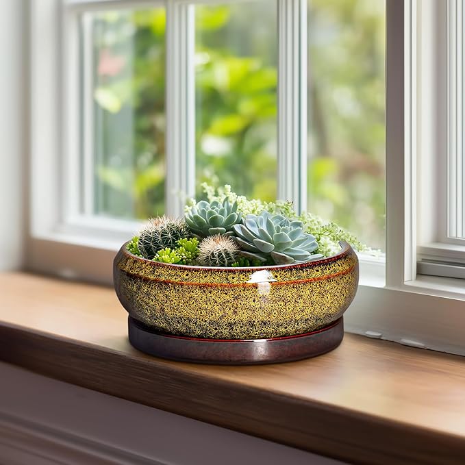 Succulent Planters 8 Inch - Ceramic Bonsai Pots with Drainage Hole and Tray, Shallow Plant Pot Indoor Outdoor, Round Succulent Pots, Planter Bowl, Porch Decor, Housewarming Gifts, Yellow