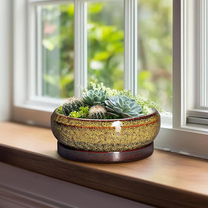 Succulent Planters 8 Inch - Ceramic Bonsai Pots with Drainage Hole and Tray, Shallow Plant Pot Indoor Outdoor, Round Succulent Pots, Planter Bowl, Porch Decor, Housewarming Gifts, Yellow