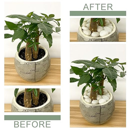 2 lbs Small White Pebbles for Plants, 0.8-1.2 inch Decorative River Rocks for Plants, Aquariums, Landscaping. White Stones for Planter Vase and Outdoor Garden Rocks