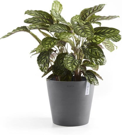 Ecopots Amsterdam Durable Modern Round Indoor/Outdoor Recycled-Based Composite Flower Pot Planter, Grey, 12"