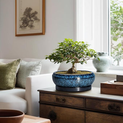 Bonsai Tree Pots 10 Inch - Ceramic Succulent Pot with Drainage Hole and Saucer, Bonsai Pots for Indoor Outdoor, Round Succulent Planter, Shallow Planter, Desk Decor, Plant Lover Gifts, Blue