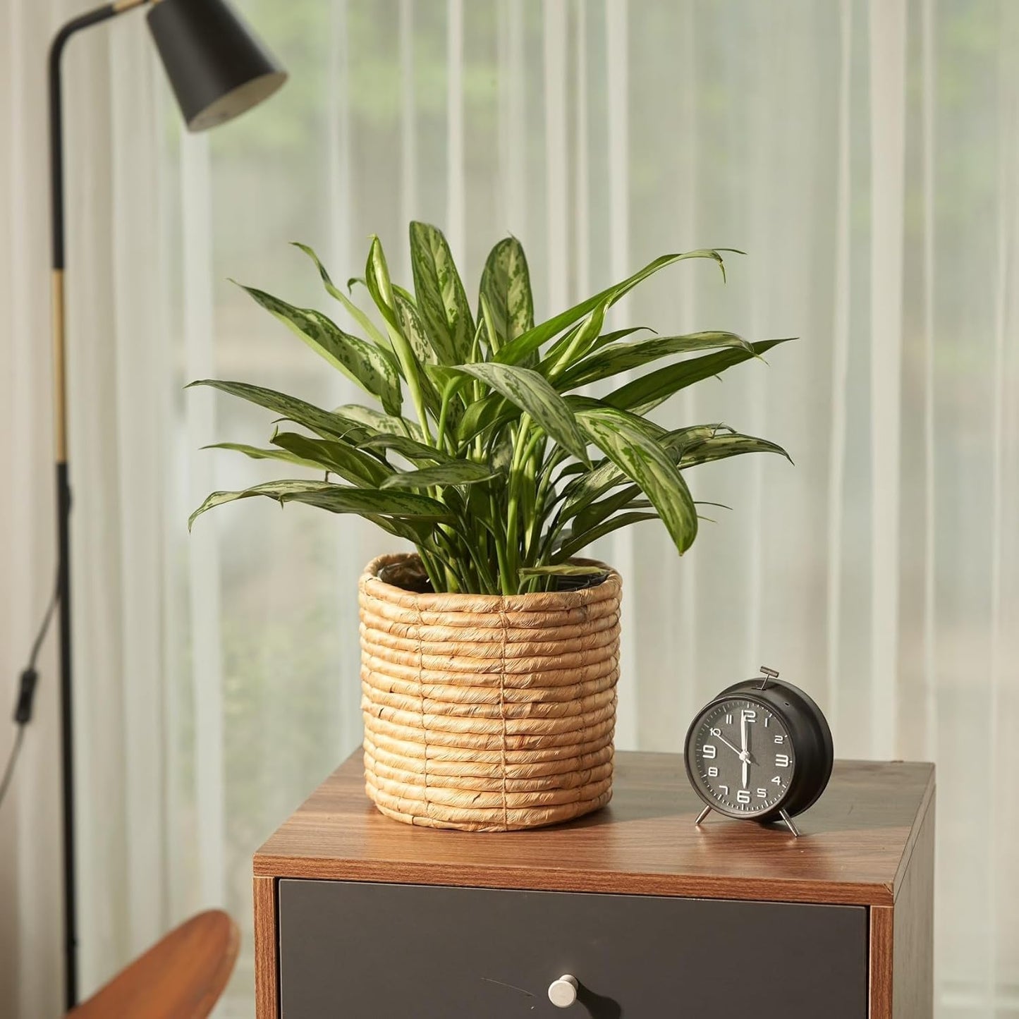 Set of 2 Water Hyacinth Planter Pot Indoor for Plant, Flower, Succulent, Basket Planter, Decorative Pot Cover (Natural)