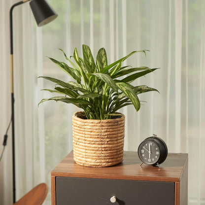 Set of 2 Water Hyacinth Planter Pot Indoor for Plant, Flower, Succulent, Basket Planter, Decorative Pot Cover (Natural)