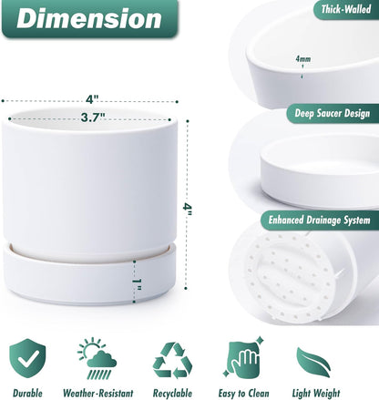 Phoenix Vine 4 Inch Planter Pot with Drainage Hole & Saucer, Deep Water Catch Tray, Straight Cylindrical Round Pot for Plants, Matte White, Pack of 3, 23-B-R-3