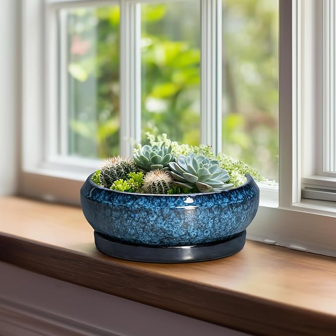 Bonsai Pots 8 Inch - Ceramic Succulent Planter for Indoor Outdoor, Round Bonsai Planter with Drainage Hole and Saucer, Shallow Ceramic Planters Bowl, Patio Decor, Housewarming Gift, Blue