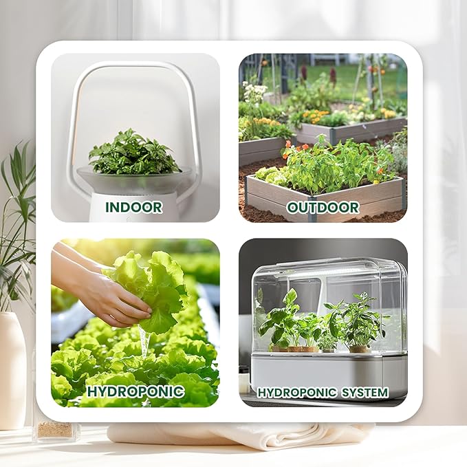 Herb Seeds 15-Pack – 4,500+ Non-GMO Heirloom Seeds for Planting – Indoor & Outdoor Herb Garden Kit with Basil, Cilantro, Rosemary, Thyme, Dill, Sage – Medicinal & Culinary Herb Seeds Variety Pack