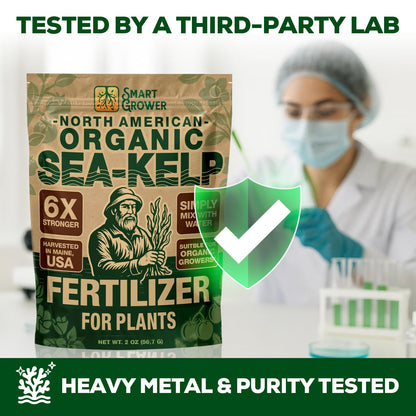 Organic Sea Kelp Fertilizer for Plants – Water-Soluble – Makes 200 Gallons – Kelp Meal Concentrate Plant Food – for Indoor Gardens, Hydroponics, Vegetables, Houseplants - Smart Grower - 8oz Bag