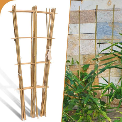 10 Pack 3ft Bamboo Trellis for Climbing Plants-Natural Garden Ladder Trellis, Fan -Shaped Support Trellis for Potted Plant Decor in Door