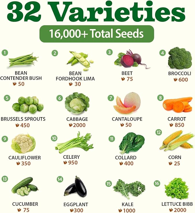 32 Heirloom Vegetable and Fruit Seeds for Planting - 16,000+ Seeds | Non-GMO Survival Seed Vault | High Germination | 32 Varieties of Vegetable Seeds for Your Home Survival Garden