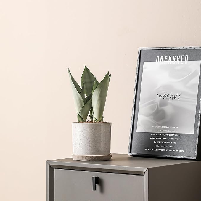 5.8 Inch Plant Pot: Ceramic Planter with Drainage Hole & Saucer - Cylinder Round Flowerpot for Indoor & Outdoor Plants - with Separate Tray for Home & Office - Retro Style, Grey