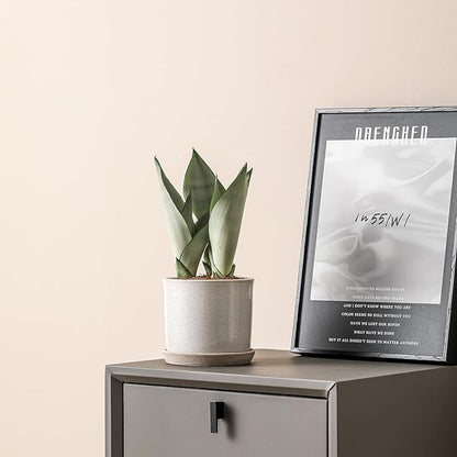 5.8 Inch Plant Pot: Ceramic Planter with Drainage Hole & Saucer - Cylinder Round Flowerpot for Indoor & Outdoor Plants - with Separate Tray for Home & Office - Retro Style, Grey