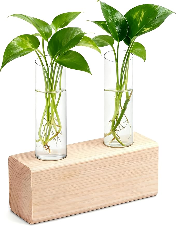 Desktop Glass Plant Propagation Station with 2 Tubes and Wooden Stand - Hydroponic Plant Cuttings Holder for Office Desk, Home Decor, Terrarium
