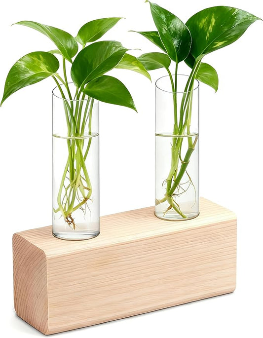 Desktop Glass Plant Propagation Station with 2 Tubes and Wooden Stand - Hydroponic Plant Cuttings Holder for Office Desk, Home Decor, Terrarium