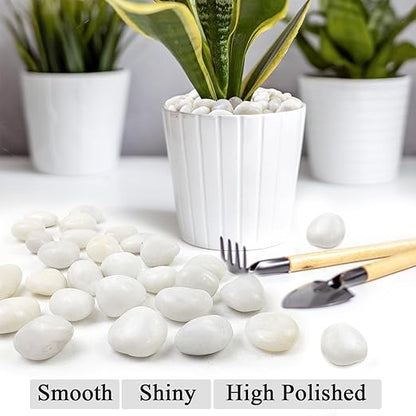 40LB White River Rocks for Landscaping,1-2.2 Inch Polished Pebbles for Plants, Decorative Stones for Landscaping. Succulents, Crafting,Fish Tank,Garden,Vase Filler, Outdoor Decoration