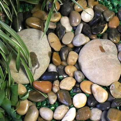 Rocks for Plants. Mixed Colors Decorative Polished Pebbles. 1 to 2 Inch – 10 lbs for Plants, Garden, Landscaping, Succulents, pots (MD (1 to 2 Inch), Mixed Color - Polished, 10)