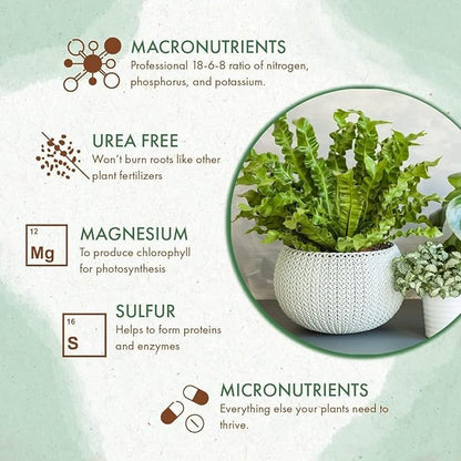 Indoor Plant Food - All-Purpose Fertilizer (Liquid Alternative) - Best for Houseplants Indoors + Common Home Outdoor Plants in Pots (5 oz)