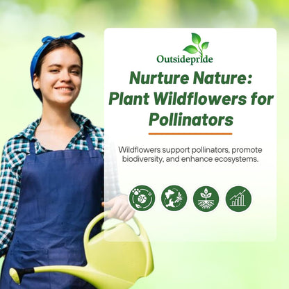 Outsidepride Southeast Wildflower Seed Mix - 1 lb Highly Adaptable, Easy to Grow, Low-Maintenance Mix of Annual & Perennial Wildflower Seeds for Natural Landscapes in Southeastern States