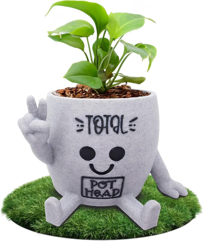 Funny Face Indoor Head Planter Pot, 3D Printed, Unique Small Succulent Flower Pot, Cute Cactus Planter, Indoor Home Decor, Office Desk Plant Pot, Novelty Gardening Gift Set