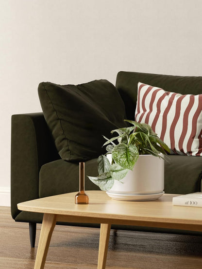 LE TAUCI Ceramic Plant Pots, 4.3+5.3+6.8 inch, Set of 3, Planters with Drainage Hole and Saucer, Indoor Flower Pot with Hole Mesh Pad, Gifts for Mom, White